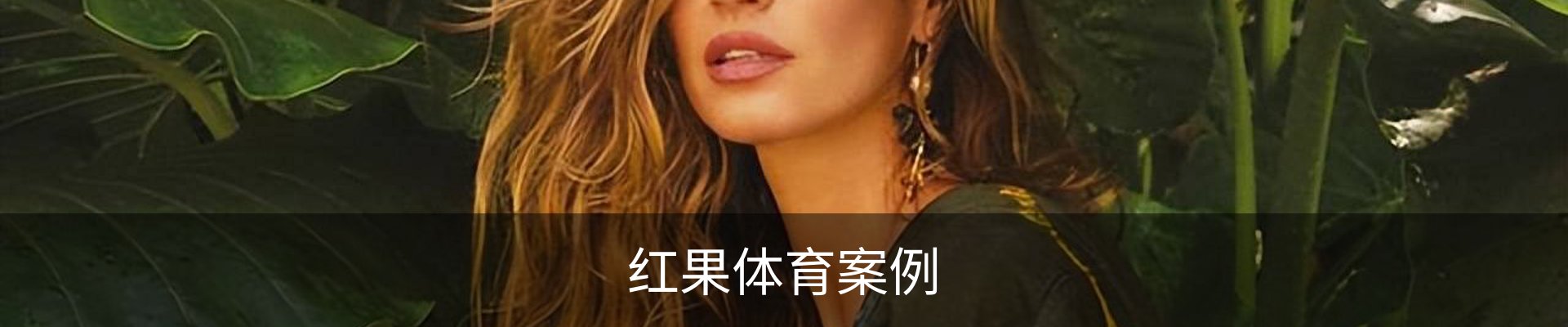 红果体育案例
