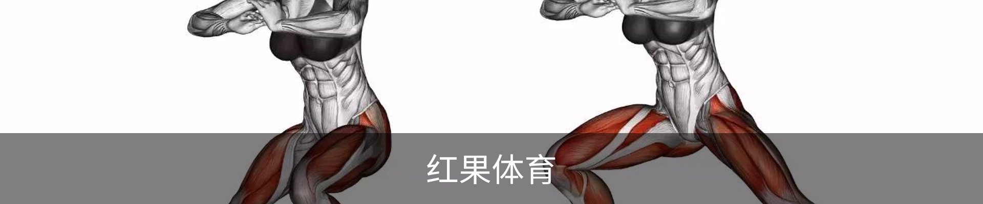 红果体育